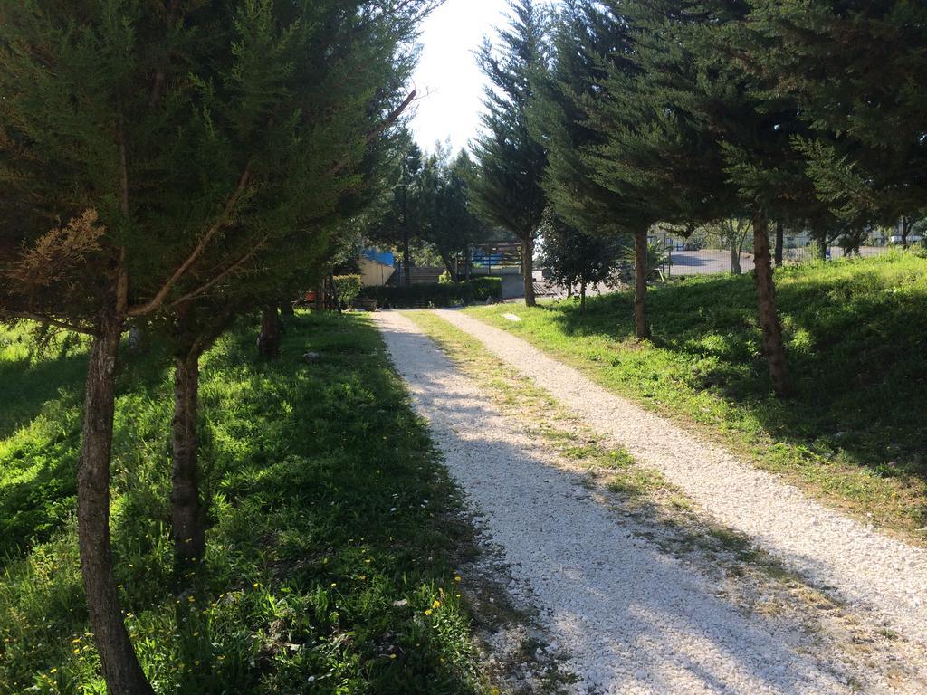 Hotel D.G. Garden Benevento Dış mekan fotoğraf